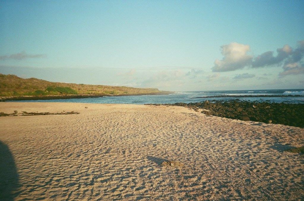 13443068_10208884929073678_8638741165445269027_o